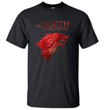 The North