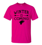 Winter is Coming