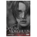 Game Of Thrones Poster